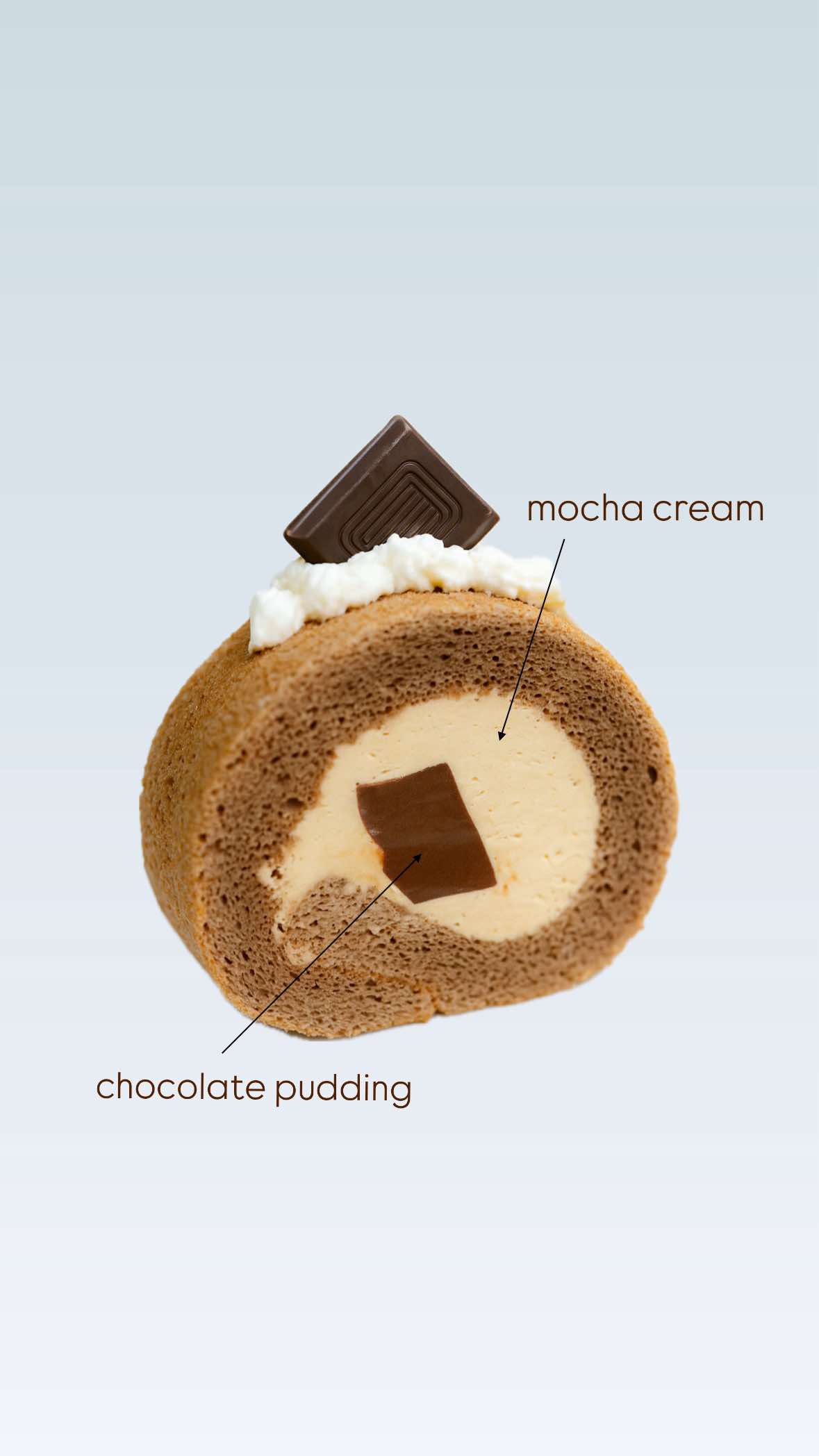 Mocha cream roll with chocolate pudding filling